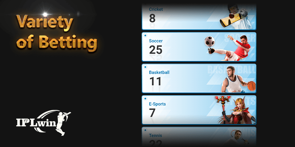 Bet7 game